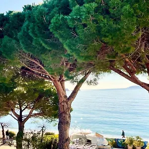 https://appartement-les-pieds-dans-leau-cavalire-lavandou-83.fr-provencehotel.com